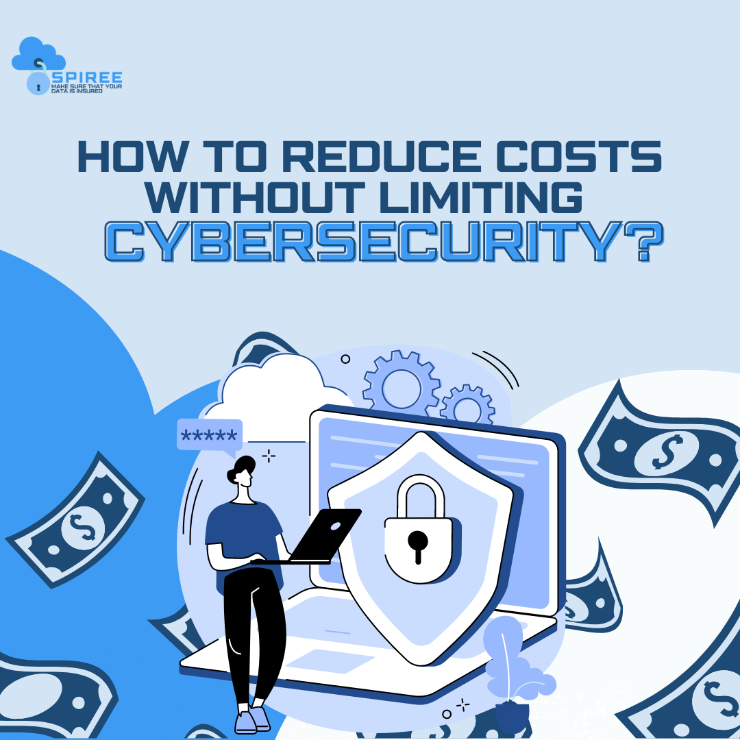 How to reduce costs and simultaneously not reduce the level of security?